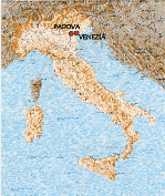 Italian_cultured_astrocyte